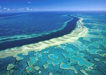 gran-barrera-coral-sufre-mayor-crisis-ambiental-historia