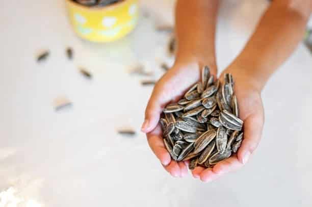 mucho ojo bolsas-pipas silica gel ninos