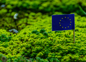 proyecto-ad4dg-all-data-green-deal-bbdd-espacio-datos-pacto-verde