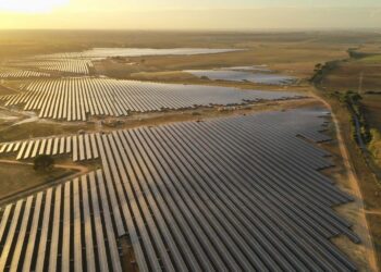 siembra solar