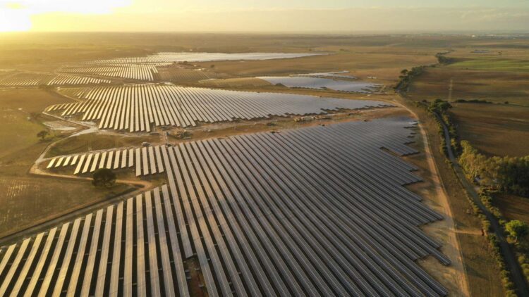 siembra solar