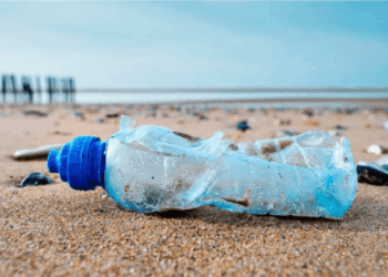 sociedad-civil-ong-ambientales-vilo-negociaciones-tratado-mundial-plasticos
