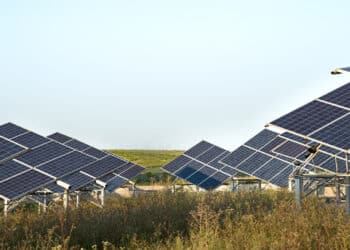 transicion-ecologica-reparte-ayudas-200-proyectos-innovadores-almacenamiento-agrivoltaica
