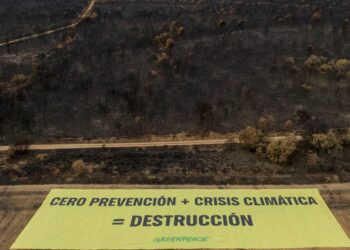 2025 repensar que hacer frenar incendios forestales sexta generación