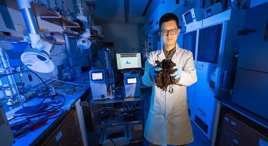 sargazo crean diminutas partículas carbono revolucionar televisores pantalla plana