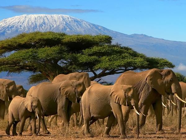 África mayor financiación climática calentamiento global