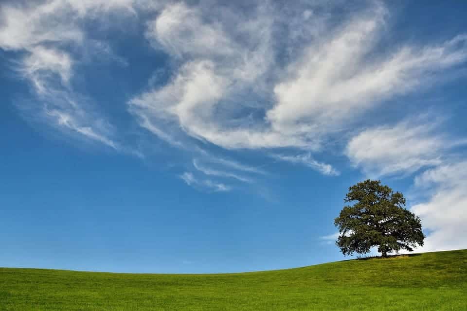 dia Internacional Aire Limpio Cielo Azul
