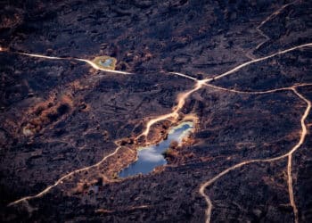 Ecologistas documentan imágenes desde aire zonas quemadas incendios forestales