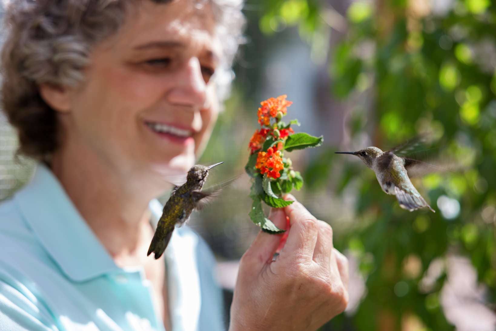 ciclo cine documental Pajareros 2025 Santander aves protagonistas