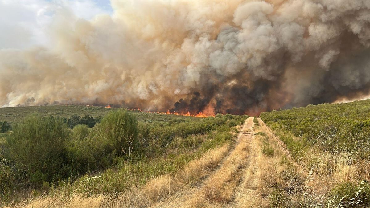 España UE reserva crisis incendios forestales