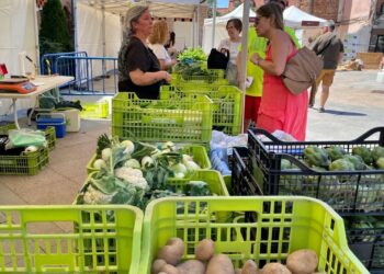 Fuenlabrada sábado 27 mercado productos ecológicos Km 0