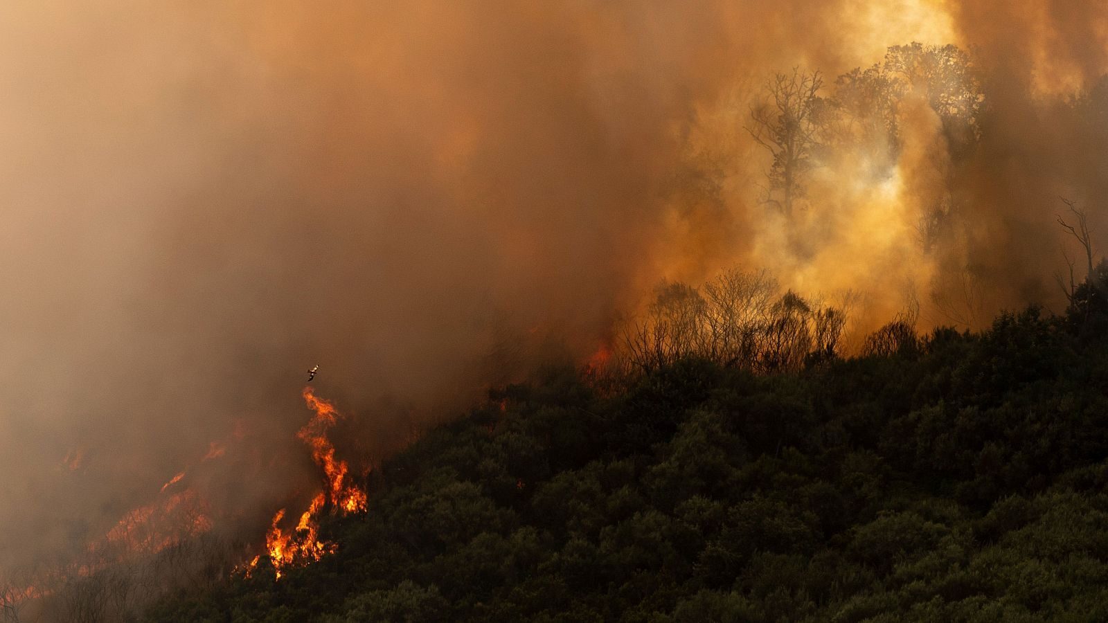 Galicia incendios forestales septiembre desastre verano