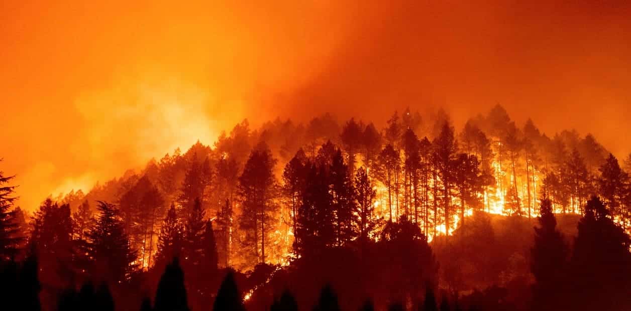 UE manifiestamente mejorable prevención incendios forestales verano