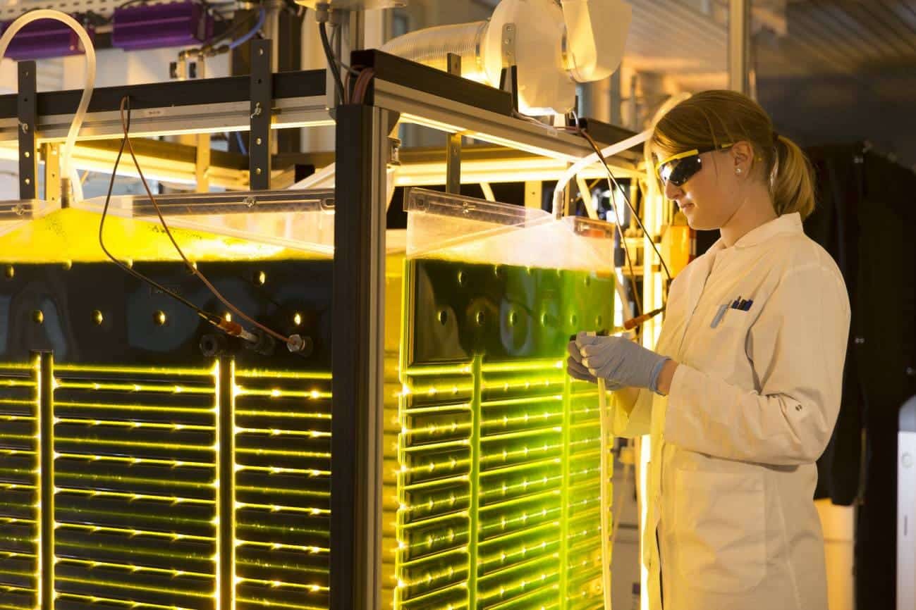 III Foro bioeconomía Castilla y León innovación sostenibilidad desarrollo territorial recursos naturales