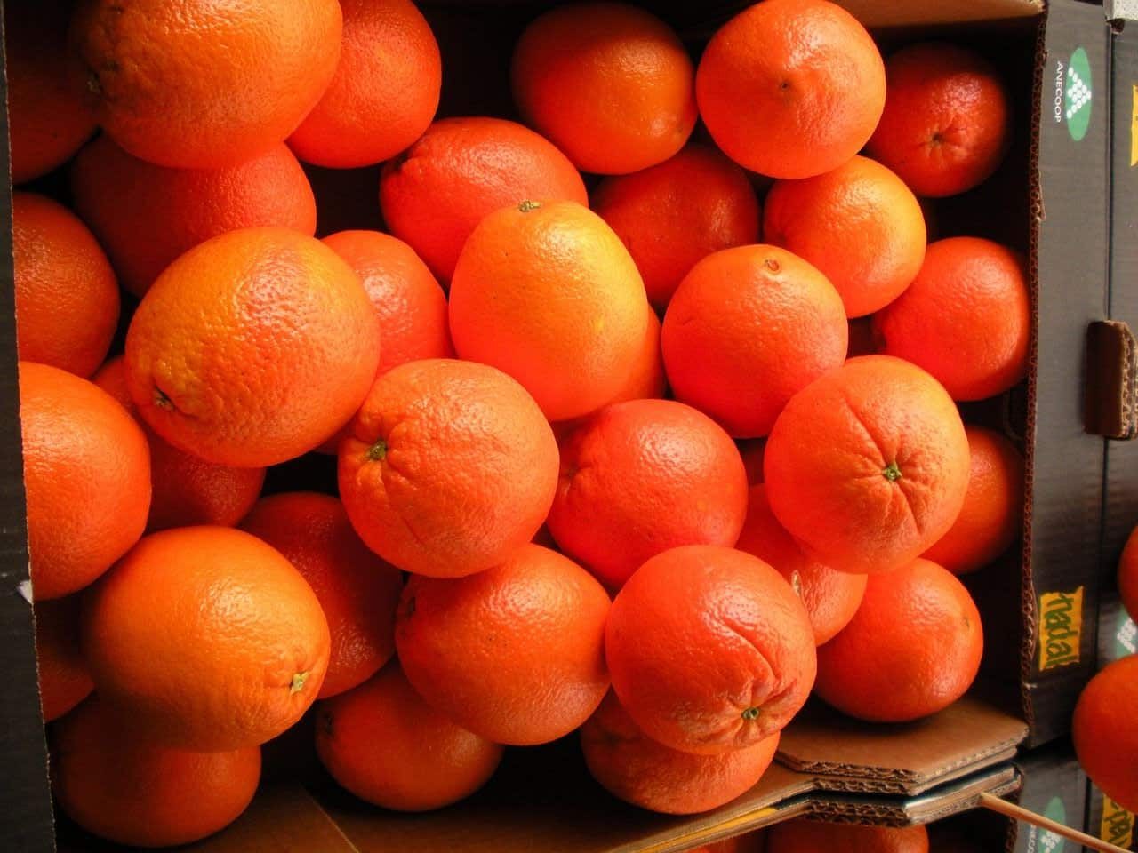 Informe España frutero Europa exportamos cada año miles millones litros agua forma frutas verduras