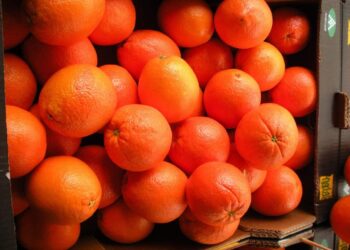 Informe España frutero Europa exportamos cada año miles millones litros agua forma frutas verduras