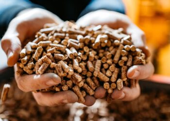 Crean partir residuos forestales nuevos materiales descontaminación aguas regeneración suelos
