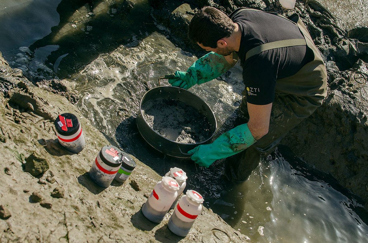 UE conservación mares océanos