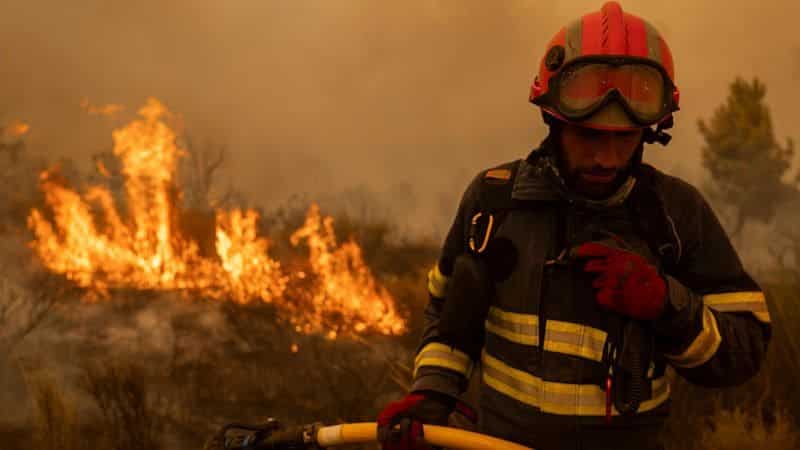 lluvia incendio forestal Pico Lobo calcinado 3000 hectáreas