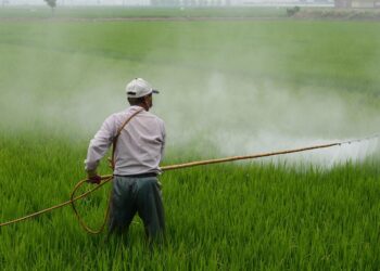 España tres mayores exportadores plaguicidas prohibidos UE 2024 casi 12900 toneladas