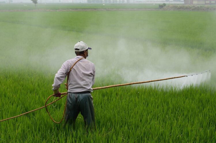 España tres mayores exportadores plaguicidas prohibidos UE 2024 casi 12900 toneladas