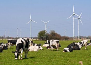 energías renovables colonizan mundo rural
