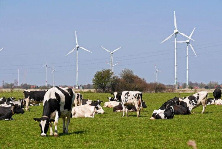 energías renovables colonizan mundo rural