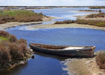 claves Delta Ebro resiliente