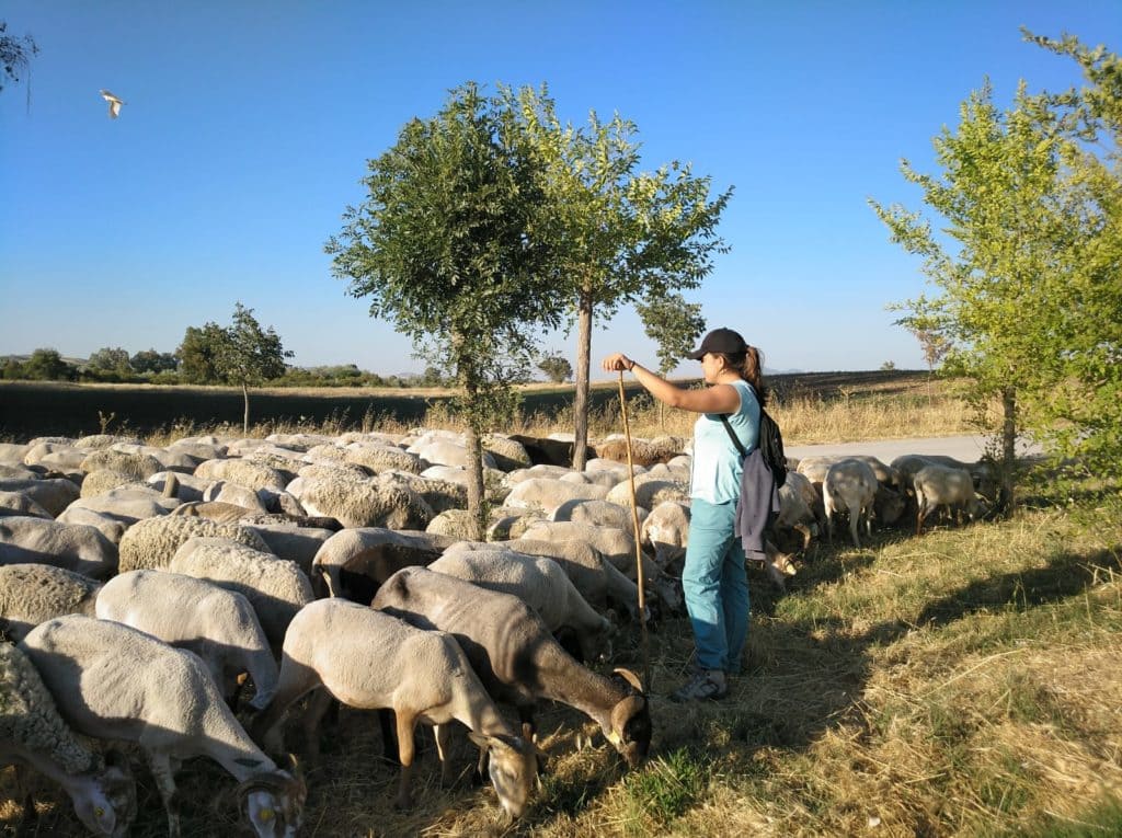Escuela Pastores Andalucía ganadería extensiva prevención incendios mantener biodiversidad