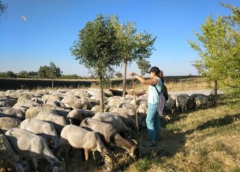 Escuela Pastores Andalucía ganadería extensiva prevención incendios mantener biodiversidad