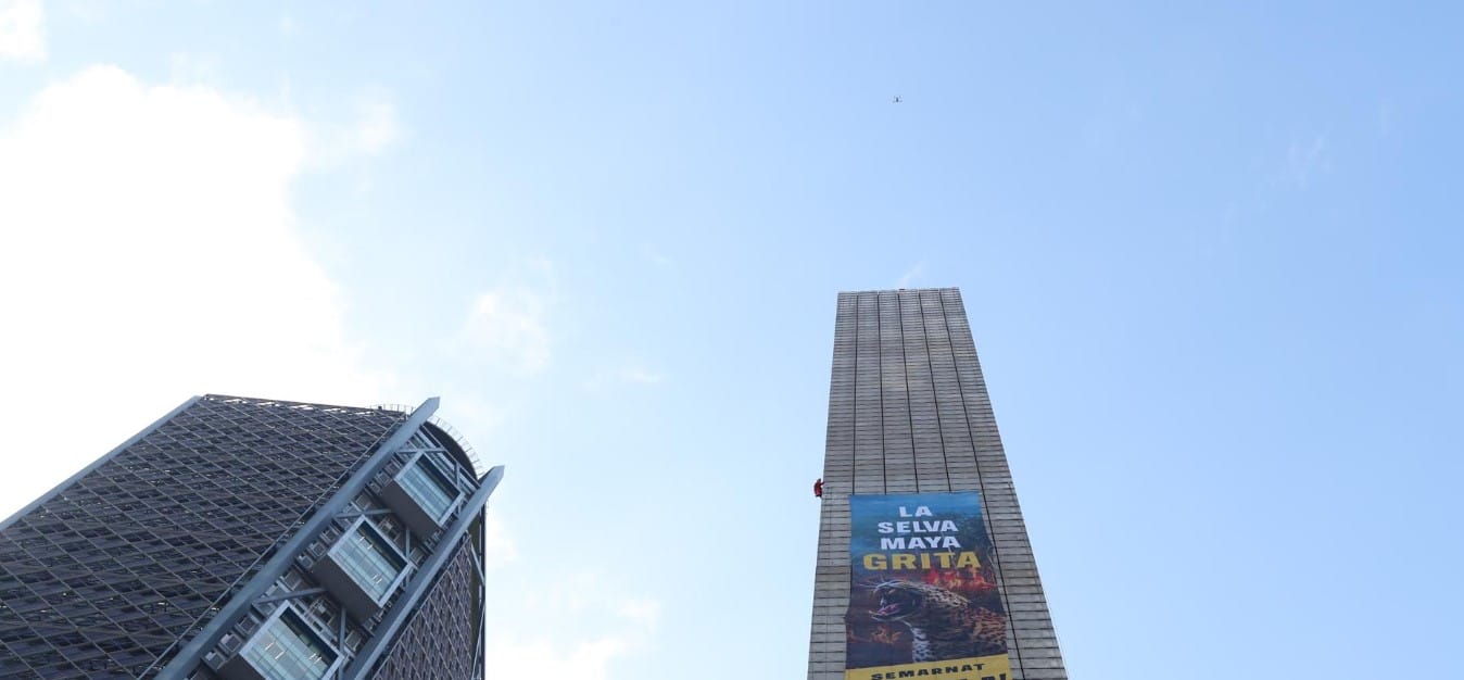 ONG ambientalista Gobierno México proteger Selva Maya