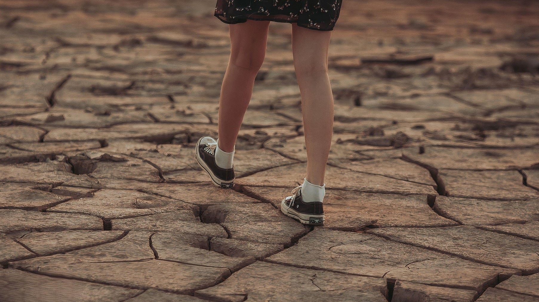 Panamá acogerá 1 al 5 diciembre reuniónONU valorar avances contra sequía extrema