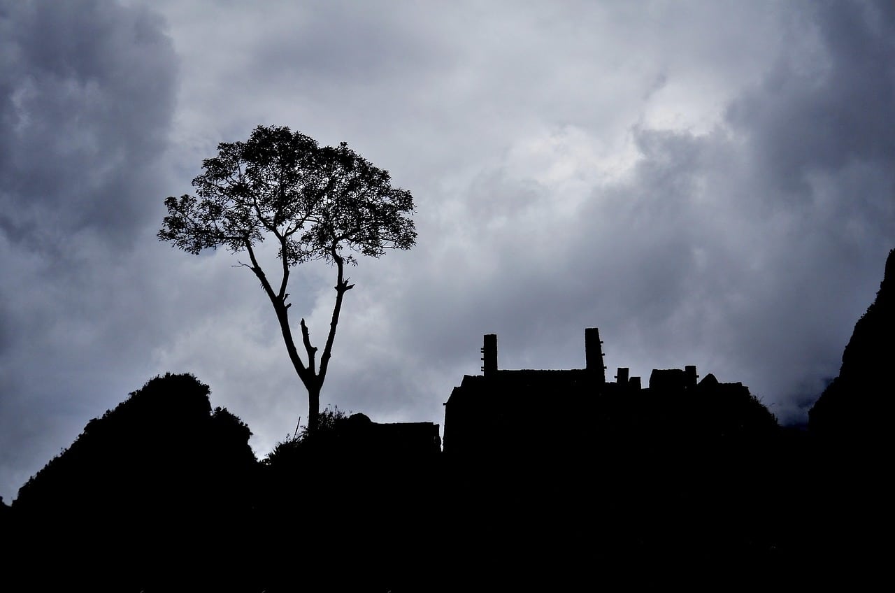 Perú compromete reducir millones toneladas dióxido carbono 2035