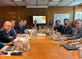 Reunión MITECO analizar propuesta inicial Planificación electricidad horizonte 2030 Castilla y León