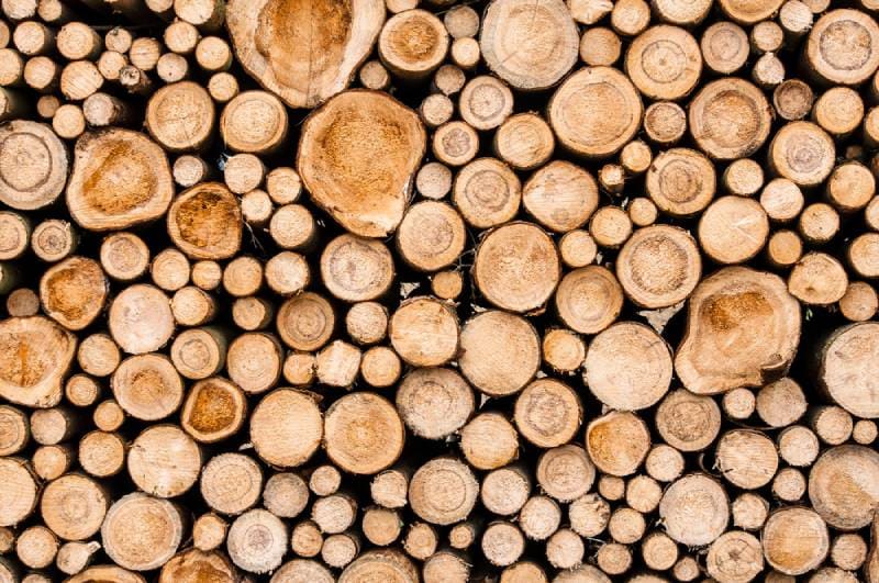 Sara Aagesen Reglamento Europeo Contra la Deforestación Importada EUDR