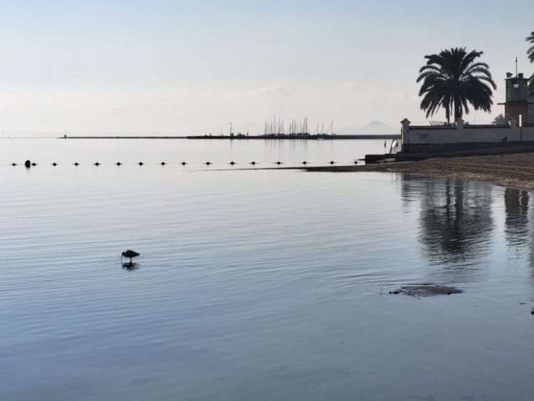 Transición Ecológica asegura cambio climático obliga acelerar máximo recuperación Mar Menor
