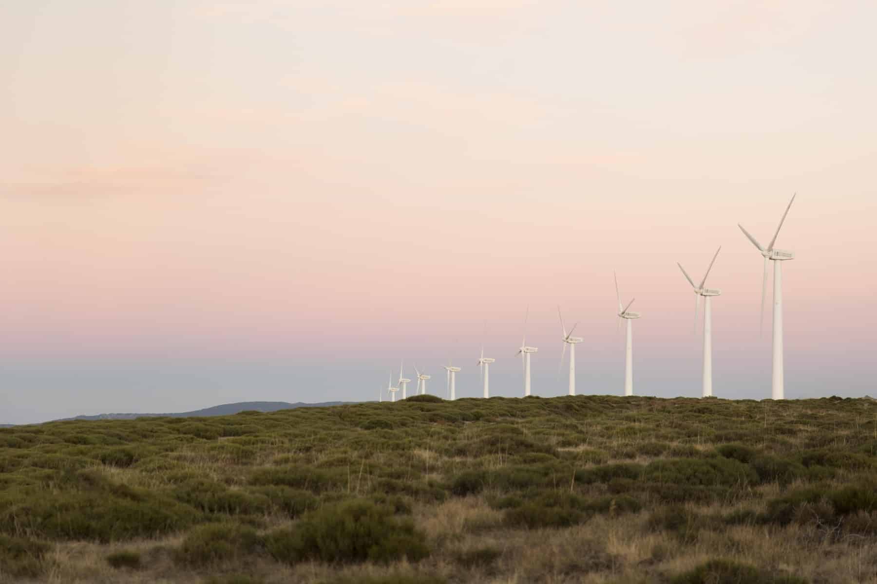 Alguien mintiendo, parques eólicos Guadalajara ecologistas afirman cosas diferentes respecto impacto fauna