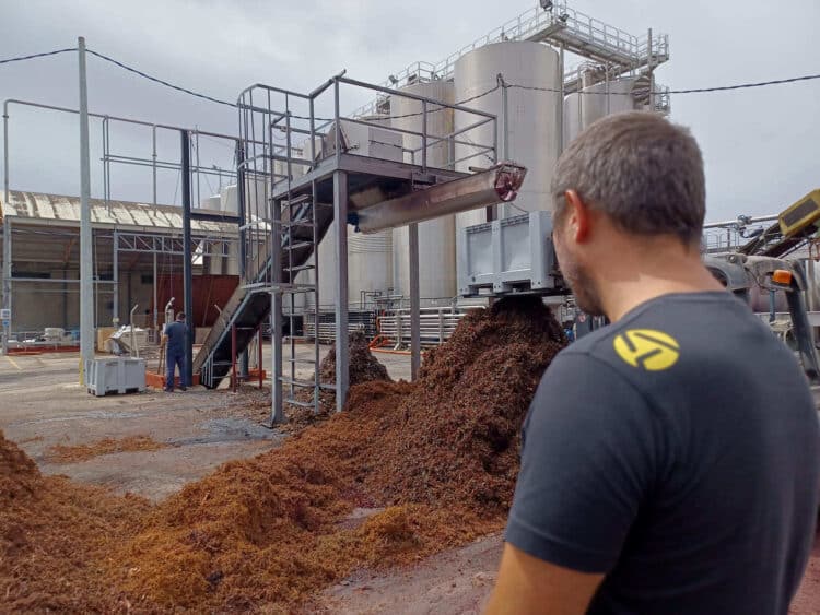 residuos uva naranja aceituna consiguen ingredientes alimentación animal