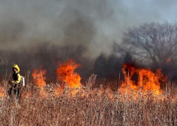 estabilizado incendio forestal Carballeda Valdeorras Ourense