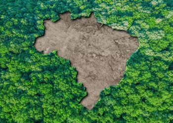 mundo espera Brasil implique descarbonización Planeta COP30