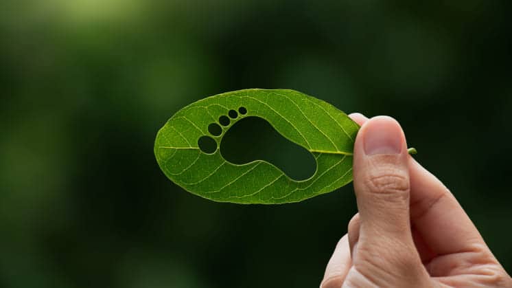 Ley do Clima Galicia incentivos fiscales empresas reduzcan huella carbono