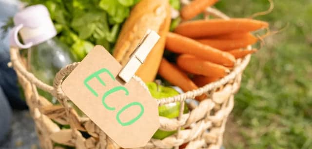 producción ecológica navarra 12, 13 14 septiembre Noáin