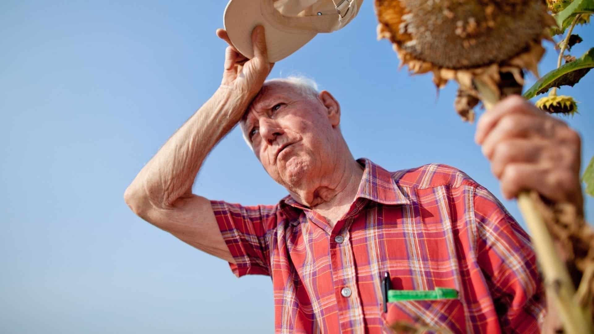 16500 muertes ‘olas calor provocadas cambio climático Europa