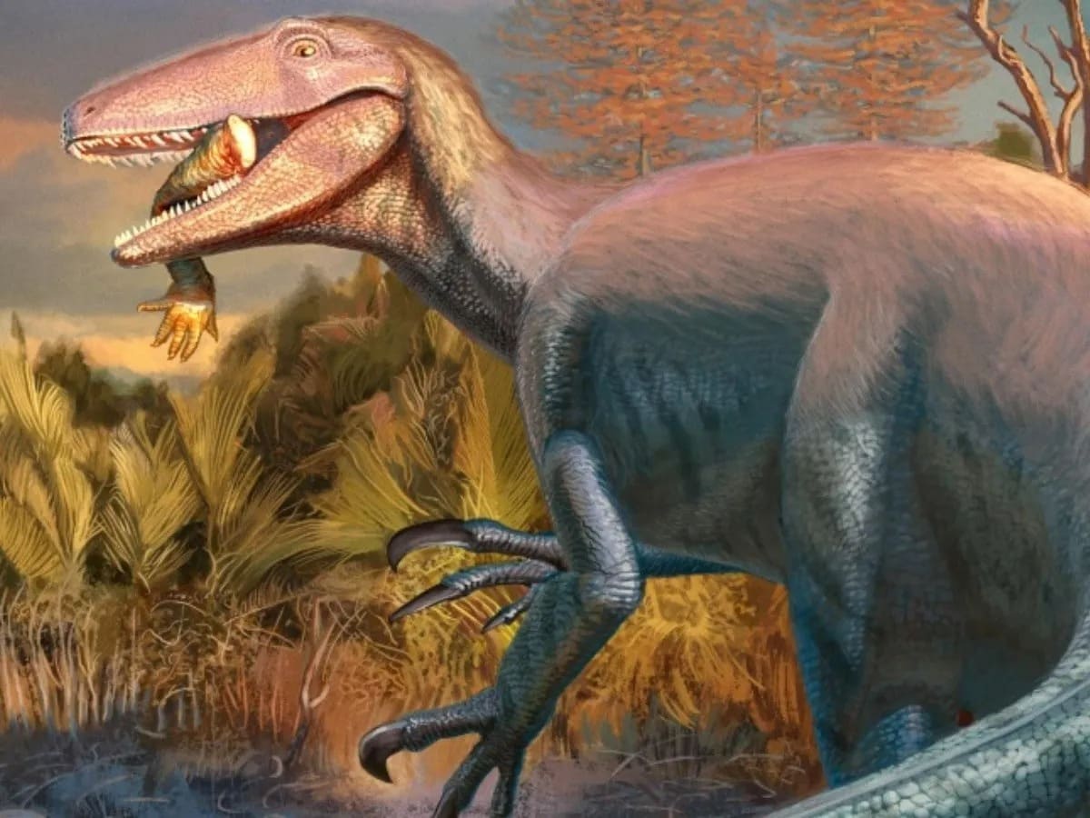 Joaquinraptor Casali garras hoz ancestro cocodrilo vivió hace 70 millones años