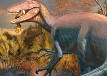 Joaquinraptor Casali garras hoz ancestro cocodrilo vivió hace 70 millones años