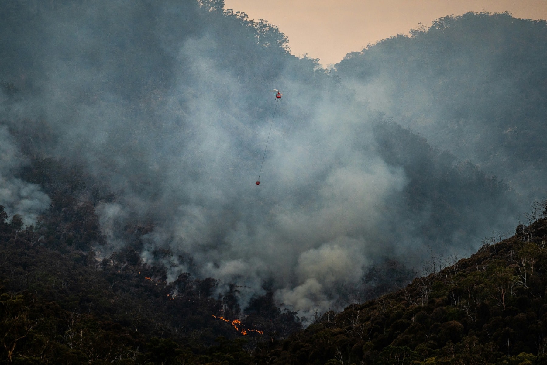 China reduce emisiones carbono pero incendios como sufrió España contrarrestan logro