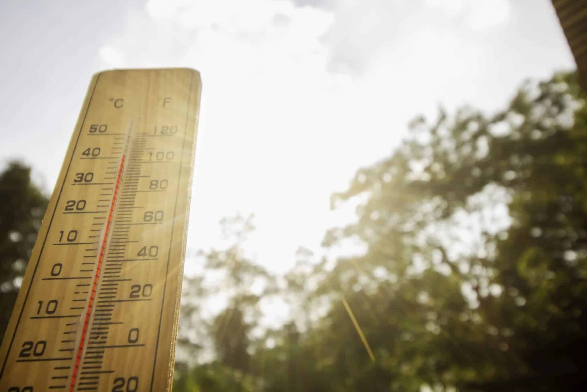 ciudadanía tomará temperatura fenómeno isla calor 24 capitales provincia 44 municipios