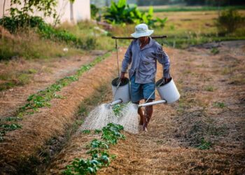Día Mundial Agricultura 2025