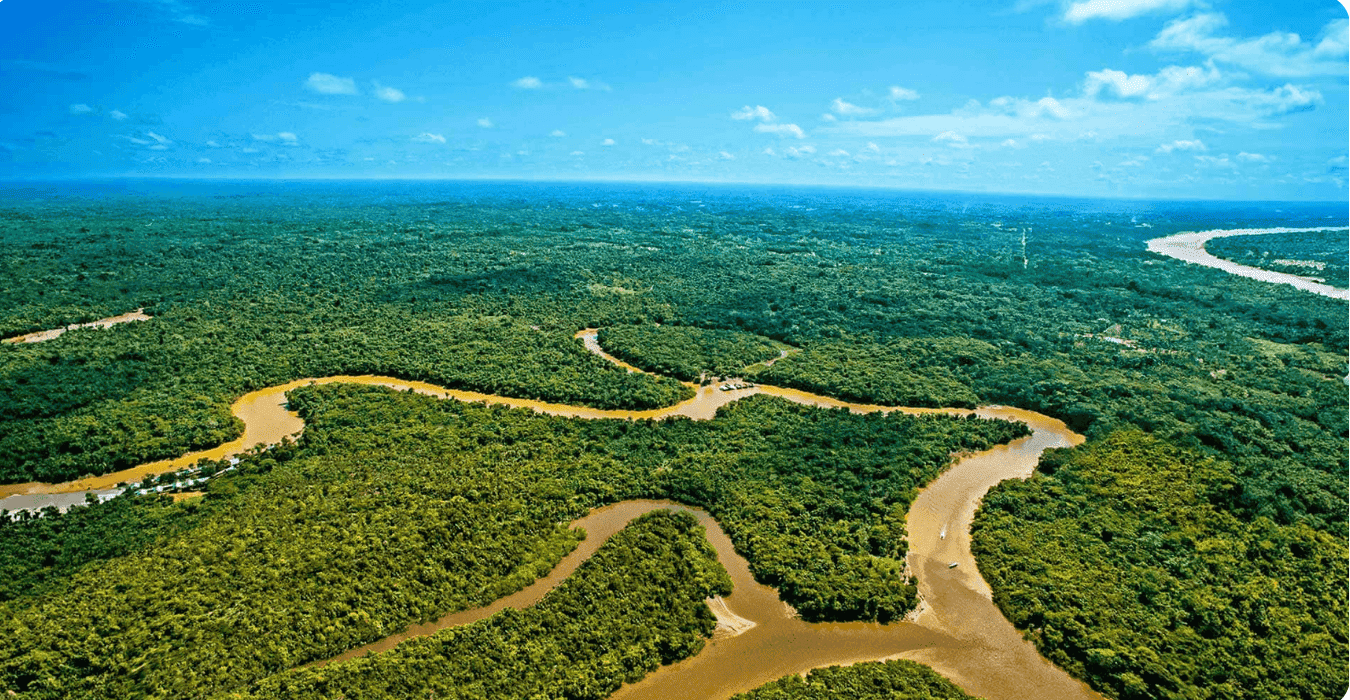 posible Amazonía libre combustibles fósiles