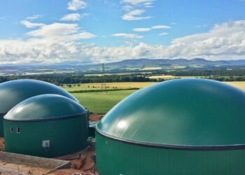 Universidad Jaén defiende plantas biogás biometano impacto positivo economía circular generación empleo